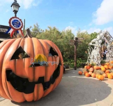 Calabazas gigantes en Port Aventura