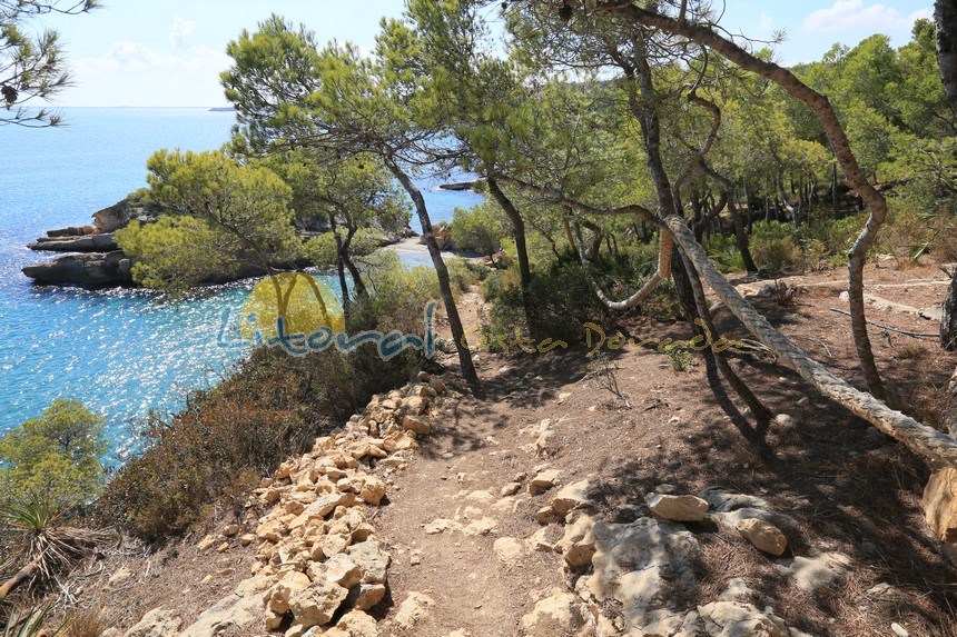 playa l'illot