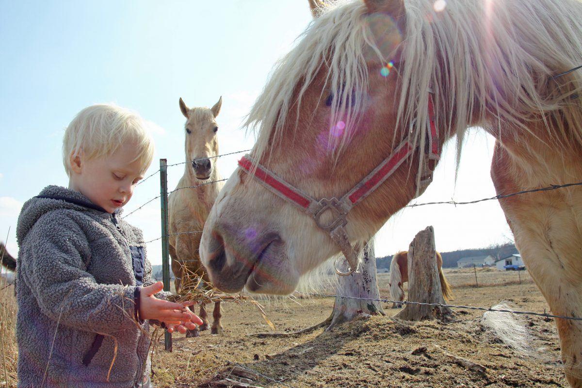 things to do with the family on the Costa Dorada