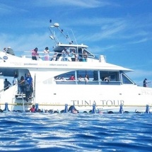 tuna-tour-en-ametlla-de-mar-1