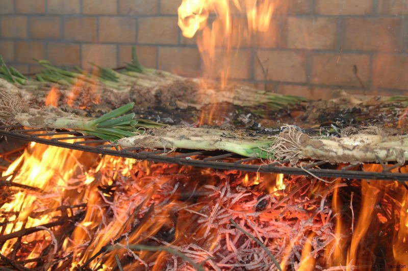 comida otoñal