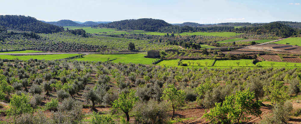 Ruta del Cister