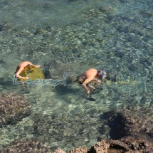 Aguas cristalinas de l&#039;Ametlla de Mar