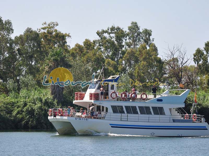 Desembocadura del Riu Ebro Isla de Buda