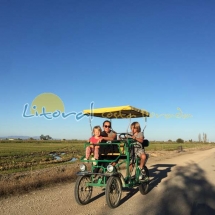 excursion en cuatriciclo en el delta del ebro