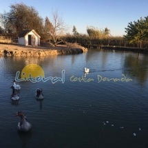 La casa de fusta en el delta del ebro