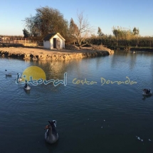 parque-natural-del-delta-del-ebro-221