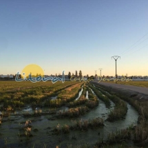 parque-natural-del-delta-del-ebro-232