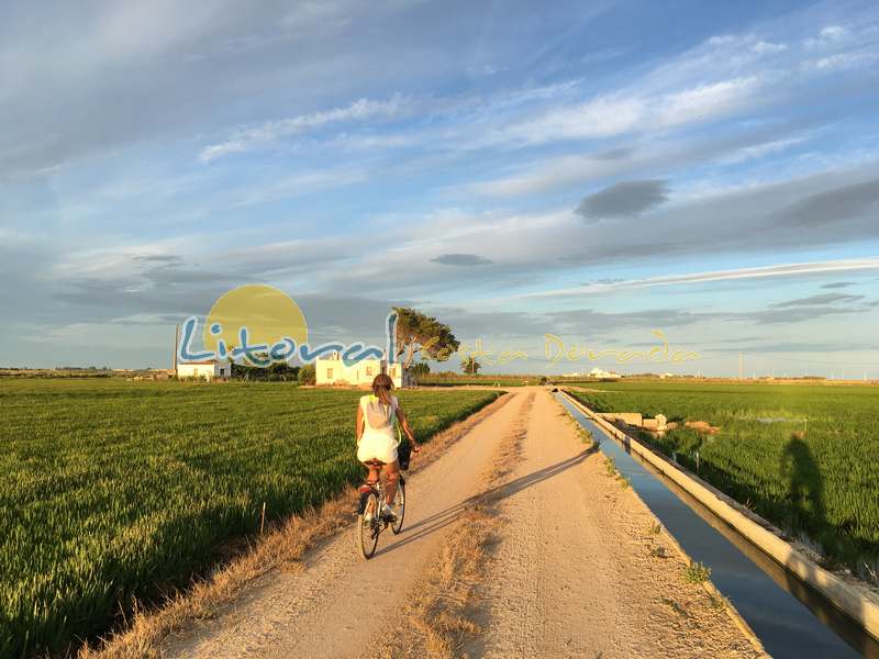 Delta del Ebro paseo bicicleta