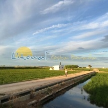 Arrozales Delta del Ebro